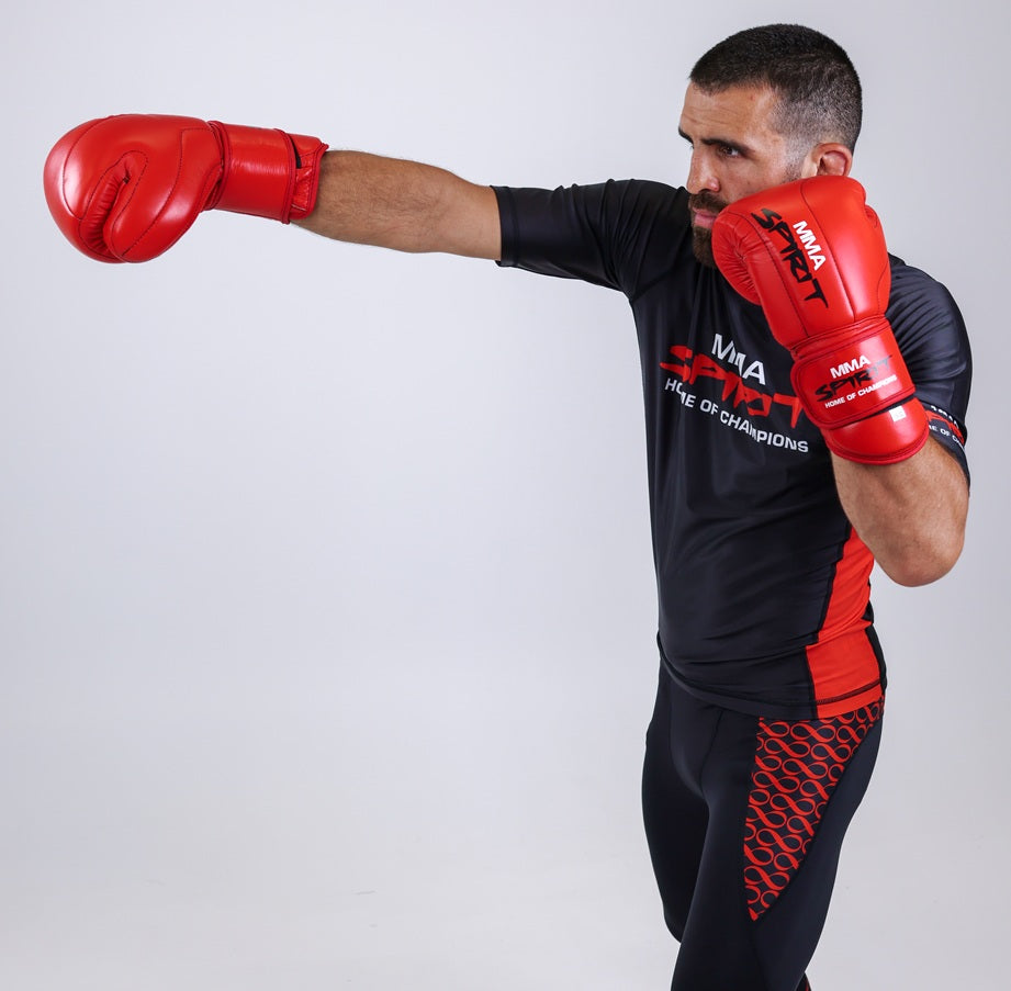 Boxhandschuhe Leder "HOC"