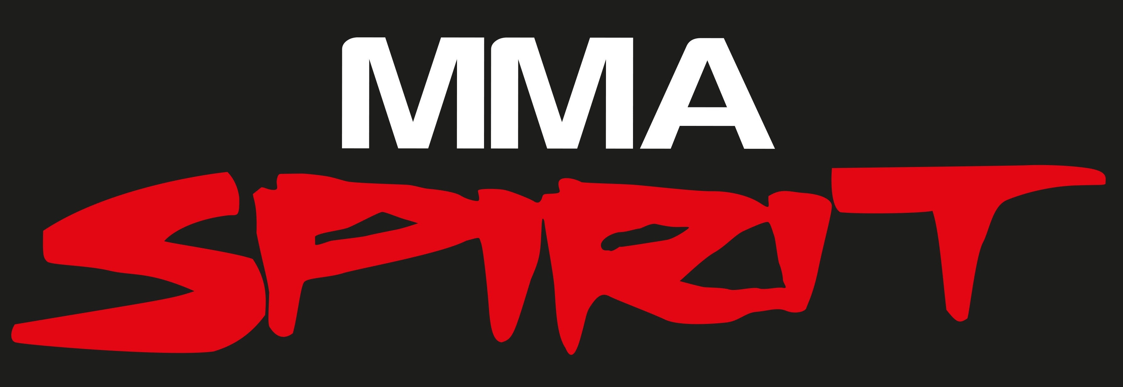 Aufkleber "MMA Spirit" groß