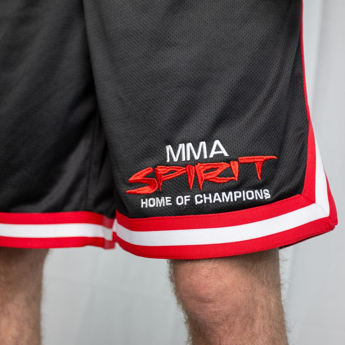 2-tone Meshshorts