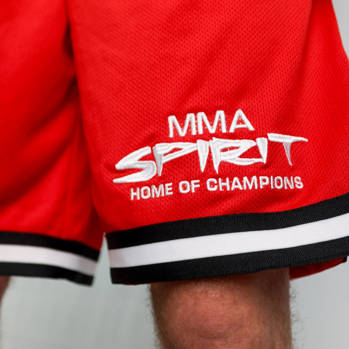 2-tone Meshshorts